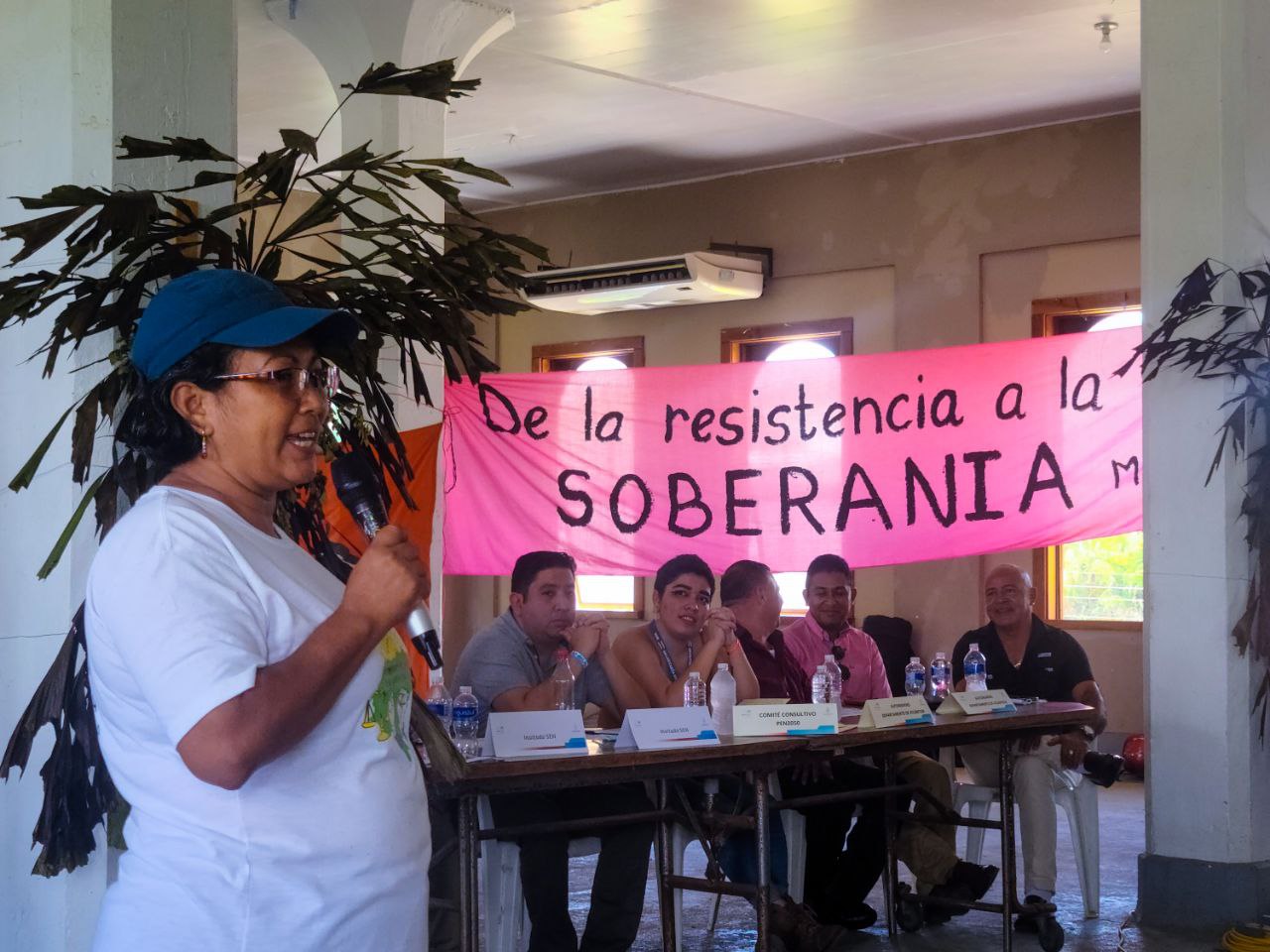 Carta pública a la Secretaría de Energía de Honduras